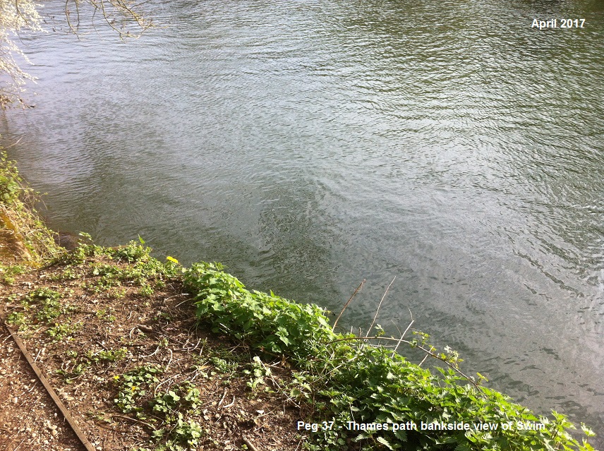 SWIM BANK VIEW